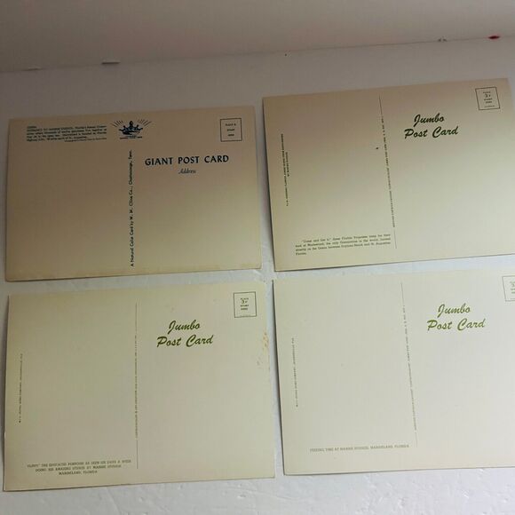 Vintage Marine Studios Marineland Florida Jumbo Postcard Lot 4 Flippy Porpoise - Picture 4 of 4